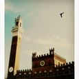 Piazza di Campo - Siena