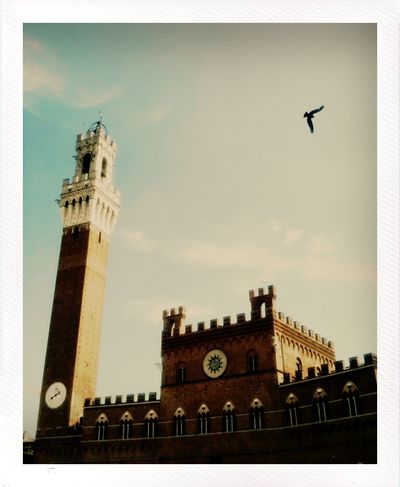 Piazza di Campo - Siena